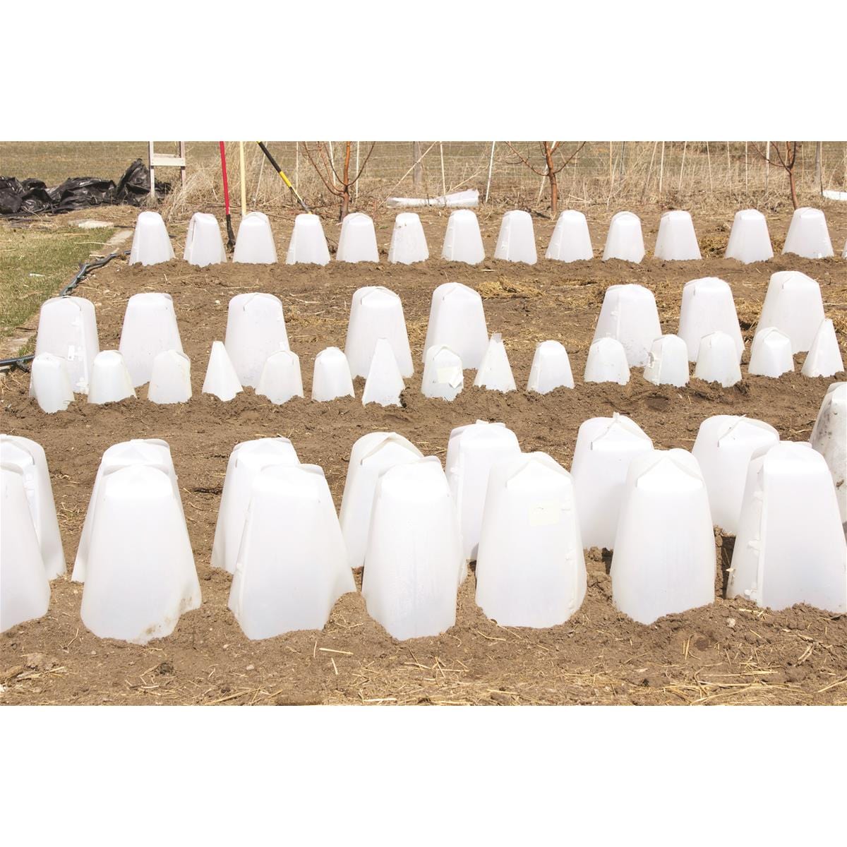 Poly Cone Plant Protectors
