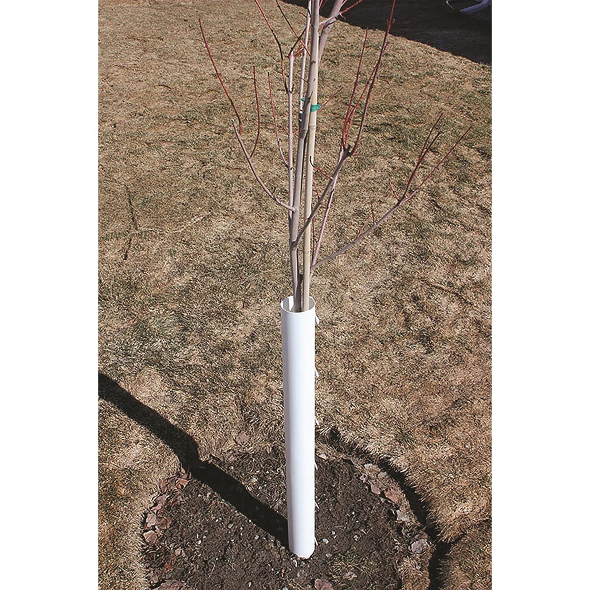 Poly Tube Tree Protectors