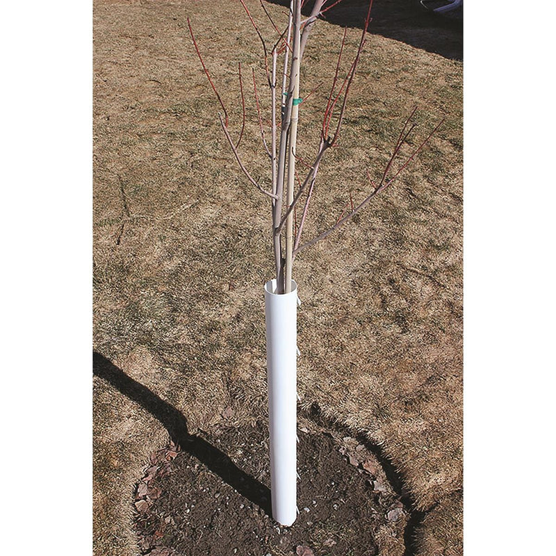 rubber tree protectors Grow It Now World s Best Tree Protector