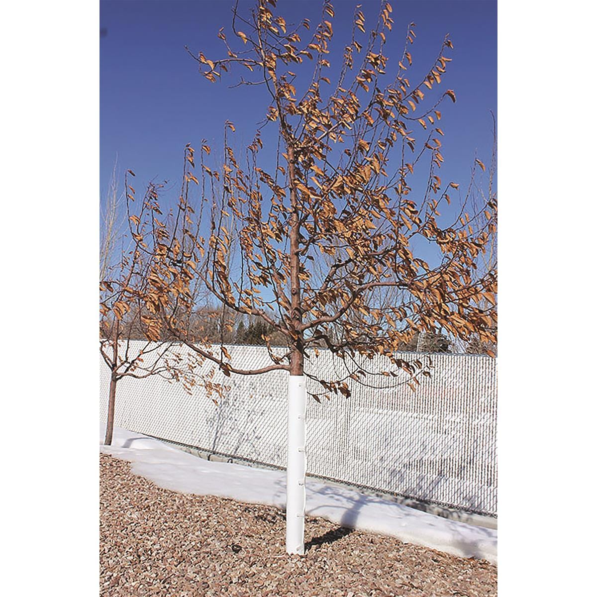 Poly Tube Tree Protectors