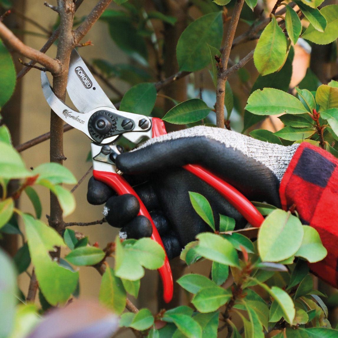 Gemplers Pro-Grade Bypass Pruner with Quick Release Holster In Use+++Gemplers Pro-Grade Bypass Pruner with Quick Release Holster In Use
