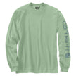 Carhartt Loose Fit Heavyweight Long Sleeve Graphic T-Shirt Limited Time Colors