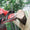 Makita 16" 42 cc Gas Chainsaw