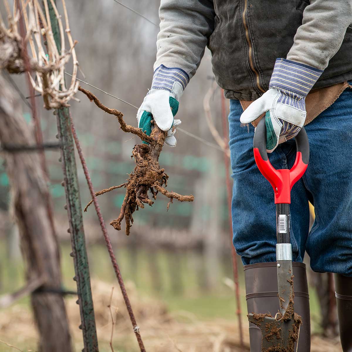 Original Root Slayer Shovel | Gemplers