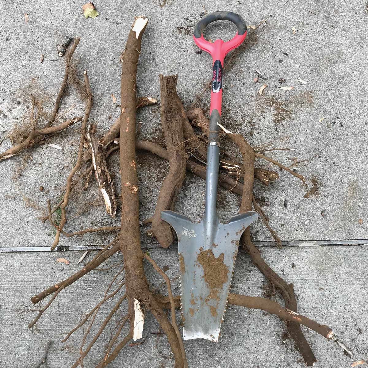 Original Root Slayer Shovel