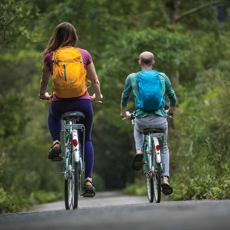 Osprey Daylite Plus Backpack